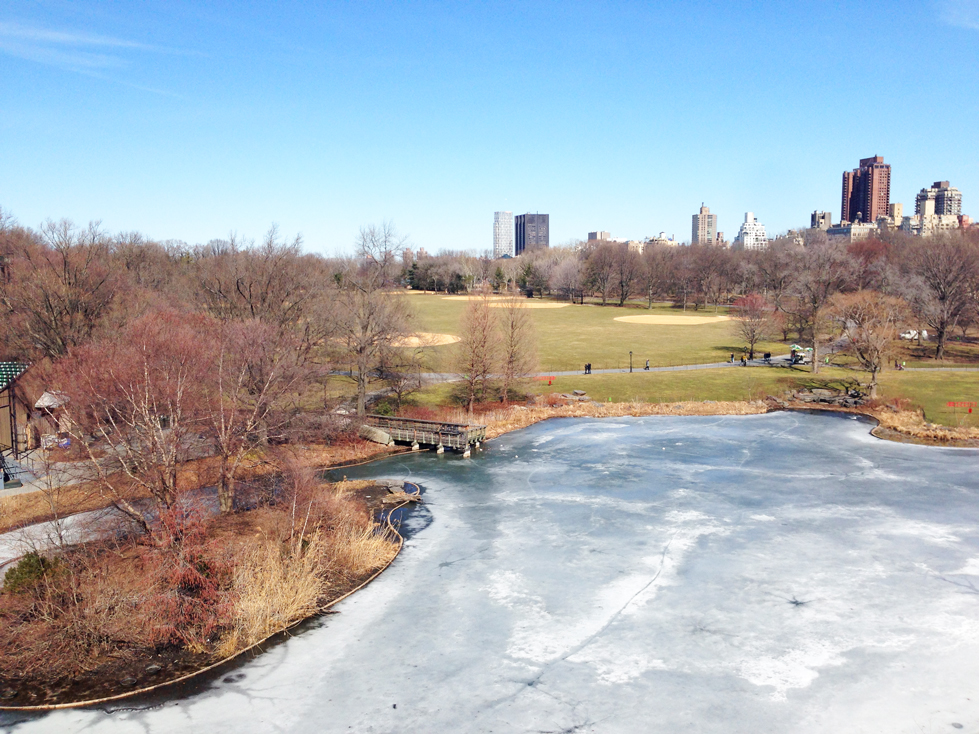 セントラルパーク