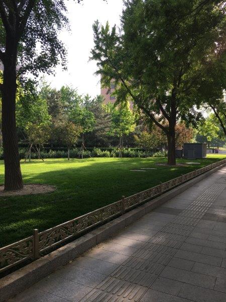 北京、北京市内、旅行、街中