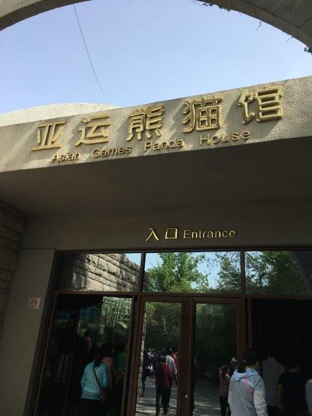 北京、北京旅行、パンダ