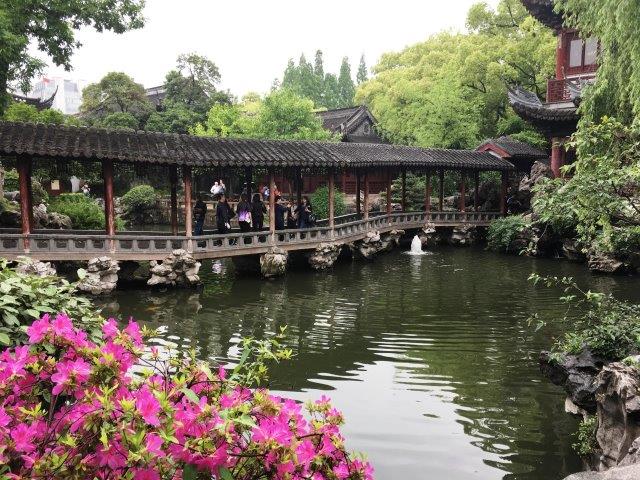 上海、旅行、雨の豫園