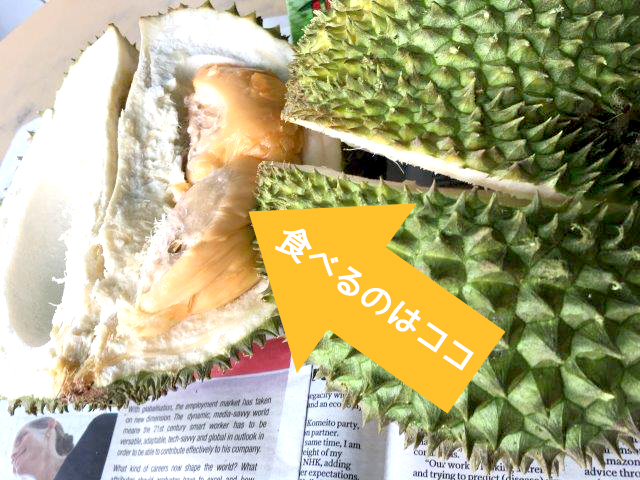 マレーシア、観光、旅行、クアラルンプール、ドリアン