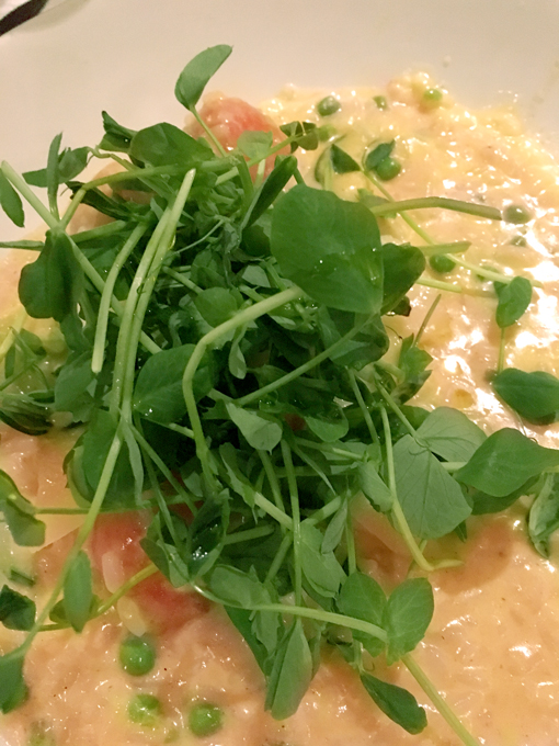 イギリス、ロンドン、旅行、グルメ、イタリアン、リゾット