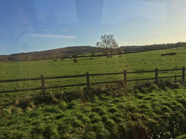 フランス、パリ、旅行、村