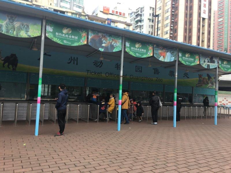 中国、広州、深圳、旅行、動物園