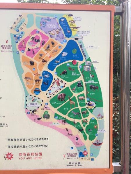 中国、広州、深圳、旅行、動物園