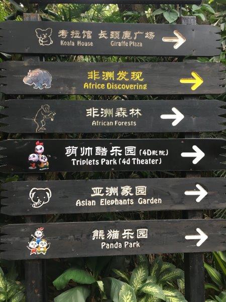 中国、広州、深圳、旅行、動物園