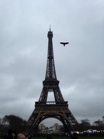 フランス、パリ、旅行、エッフェル塔