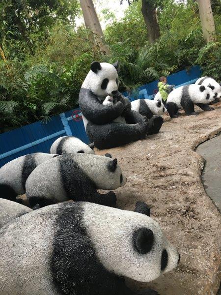 中国、広州、深圳、旅行、動物園、パンダ