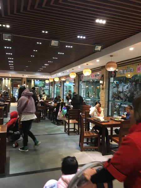 中国、広州、深圳、旅行、動物園、パンダレストラン