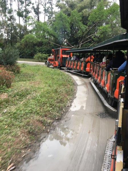 中国、広州、深圳、旅行、動物園、サファリエリア