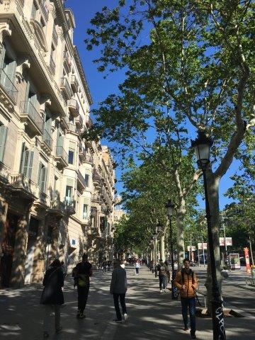 スペイン、旅行、観光、サグラダファミリア