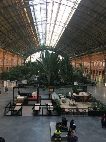 スペイン、旅行、観光、アトーチャ駅、植物園