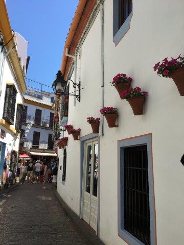 スペイン、旅行、観光、パティオ祭り