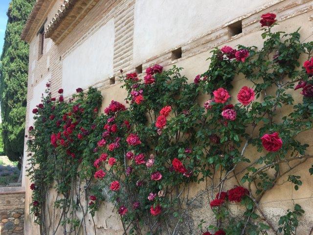 スペイン、旅行、観光、アルハンブラ宮殿、ナスル宮殿、ヘネラリフェ