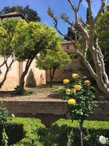 スペイン、旅行、観光、アルハンブラ宮殿、ナスル宮殿、ヘネラリフェ