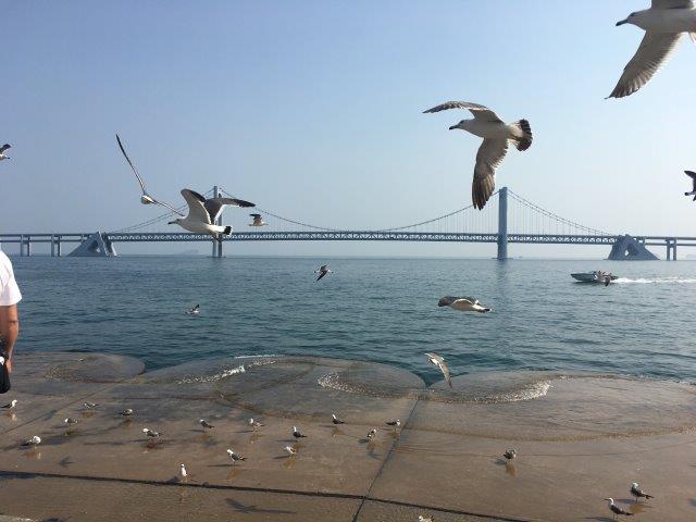 中国、大連、旅行、観光