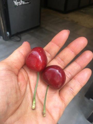 中国、大連、旅行、観光