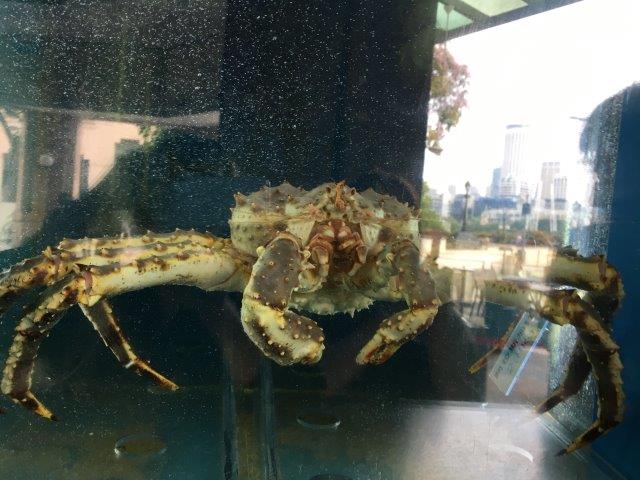 シンガポール、旅行、観光