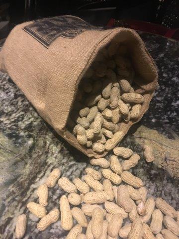 シンガポール、旅行、観光